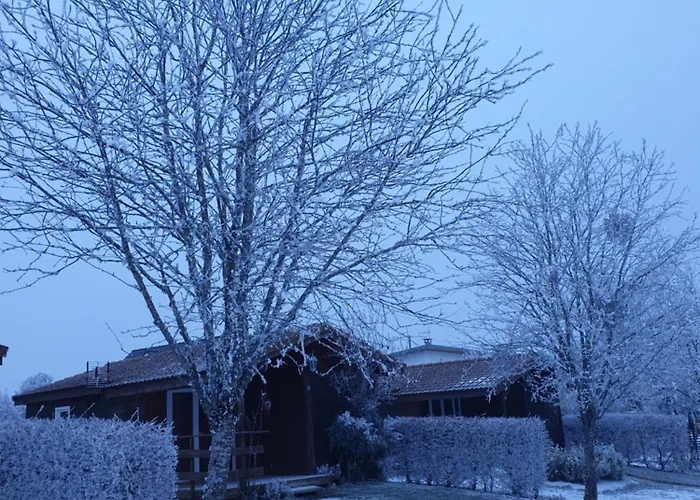 Primevere- Fraiteux 3 Etoiles * Plombières-les-Bains